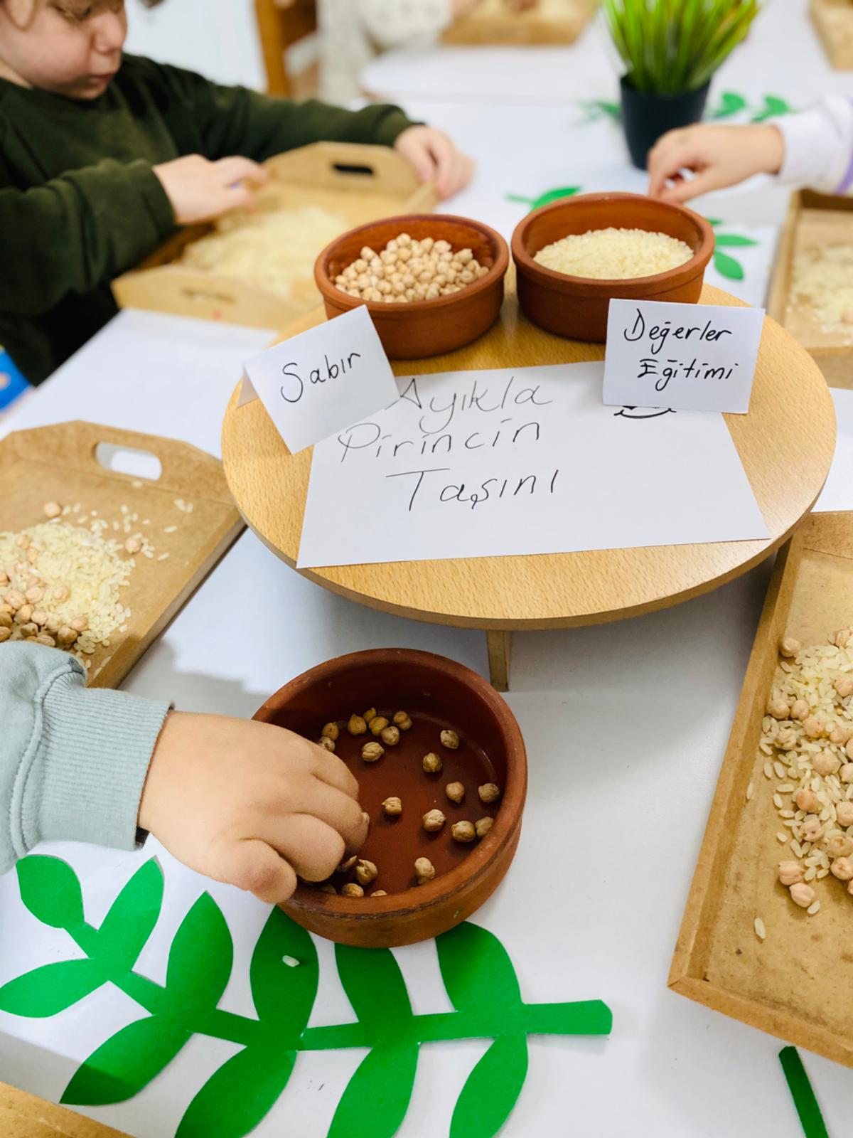 Mutlu anılar fotoğrafı 15