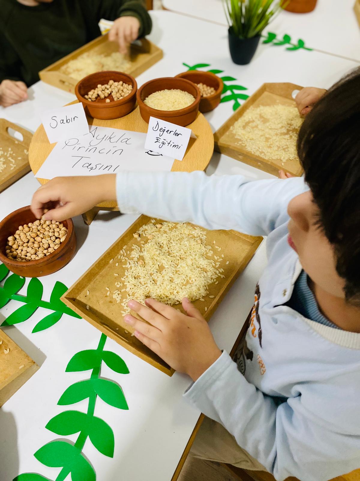 Mutlu anılar fotoğrafı 15